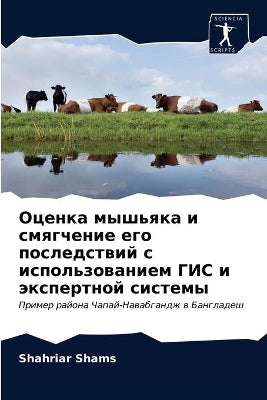 Оценка мышьяка и смягчение его последствl