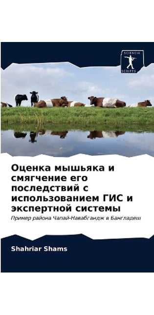 Оценка мышьяка и смягчение его последствl