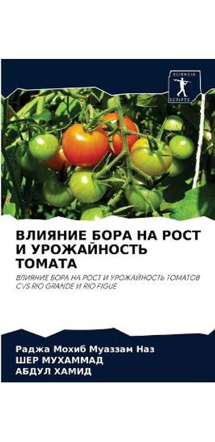 ВЛИЯНИЕ БОРА НА РОСТ И УРОЖАЙНОСТЬ ТОМАТА
