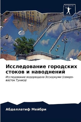 Исследование городских стоков и наводнен