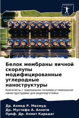 Белок мембраны яичной скорлупы модифицир