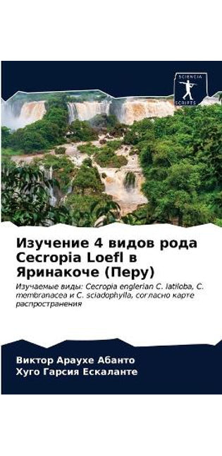 Изучение 4 видов рода Cecropia Loefl в Яринакоче (Перу)