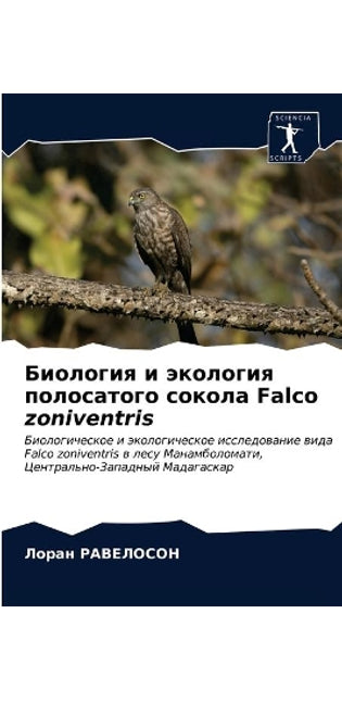 Биология и экология полосатого сокола Falco zoniventris