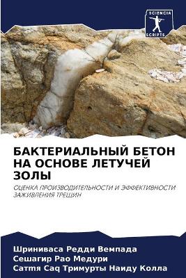 БАКТЕРИАЛЬНЫЙ БЕТОН НА ОСНОВЕ ЛЕТУЧЕЙ ЗОi