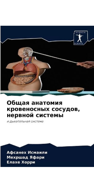 Общая анатомия кровеносных сосудов, нервl