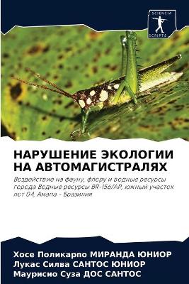НАРУШЕНИЕ ЭКОЛОГИИ НА АВТОМАГИСТРАЛЯХ