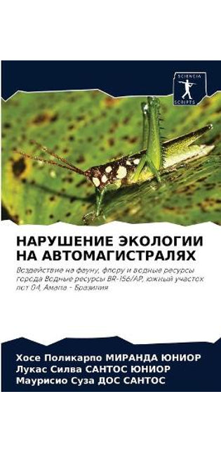 НАРУШЕНИЕ ЭКОЛОГИИ НА АВТОМАГИСТРАЛЯХ