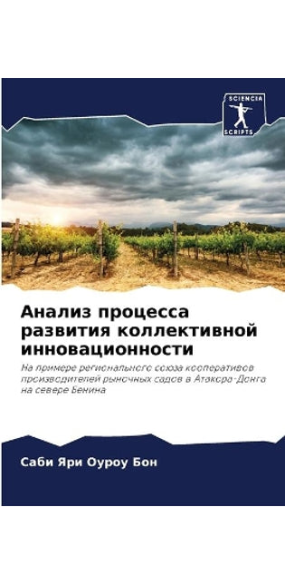Анализ процесса развития коллективной ин