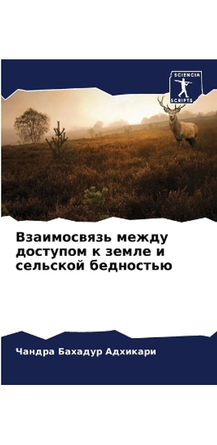 Взаимосвязь между доступом к земле и сель
