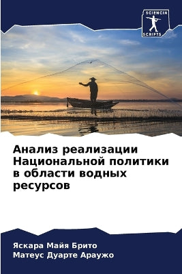 Анализ реализации Национальной политики
