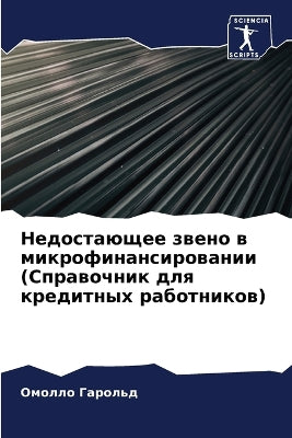 Недостающее звено в микрофинансировании
