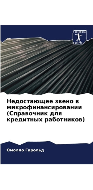 Недостающее звено в микрофинансировании