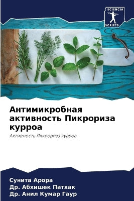 Антимикробная активность Пикрориза курр