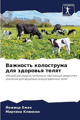 Важность колострума для здоровья телят