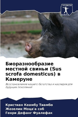 Биоразнообразие местной свиньи (Sus scrofa domesticus) в Кам