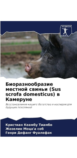 Биоразнообразие местной свиньи (Sus scrofa domesticus) в Кам