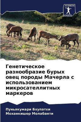 Генетическое разнообразие бурых овец пор