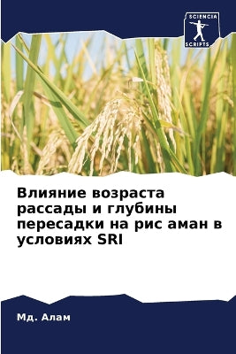 Влияние возраста рассады и глубины пересk