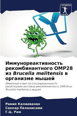 Иммунореактивность рекомбинантного OMP28 из B