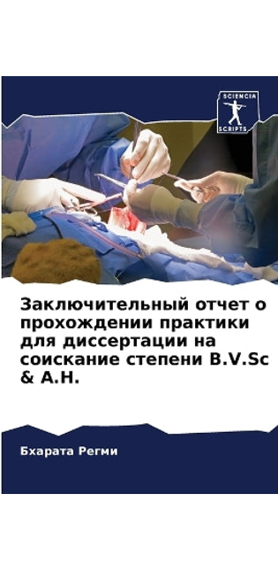 Заключительный отчет о прохождении практ