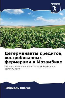 Детерминанты кредитов, востребованных фе