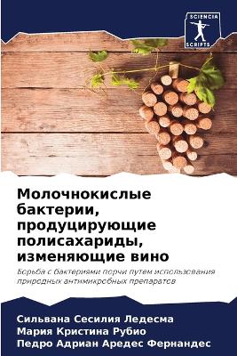 Молочнокислые бактерии, продуцирующие по
