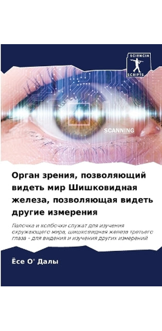 Орган зрения, позволяющий видеть мир Шишк
