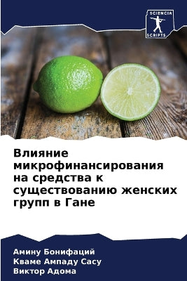 Влияние микрофинансирования на средства