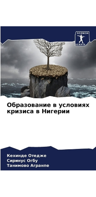 Образование в условиях кризиса в Нигерии