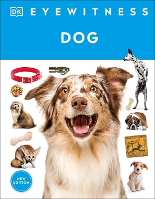 Eyewitness Dog