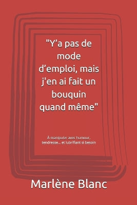 "Y'a pas de mode d'emploi, mais j'en ai fait un bouquin quand même"
