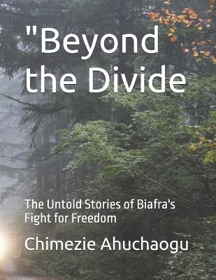 "Beyond the Divide
