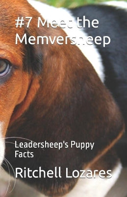 #7 Meet the Memversheep