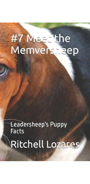 #7 Meet the Memversheep