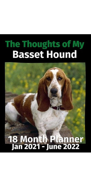 Thoughts of My Basset Hound