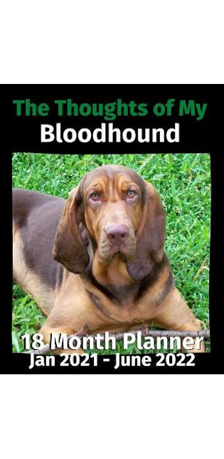Thoughts of My Bloodhound
