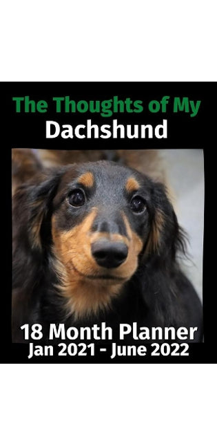 Thoughts of My Dachshund