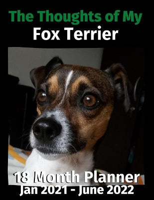 Thoughts of My Fox Terrier