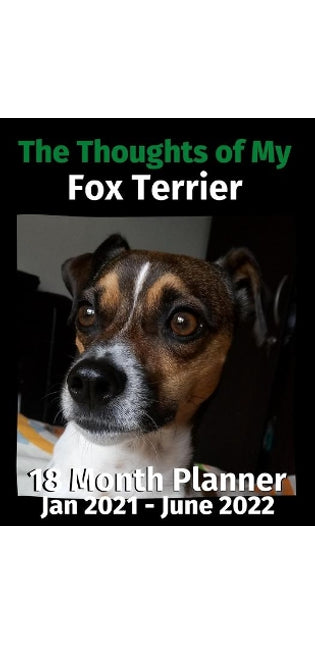Thoughts of My Fox Terrier