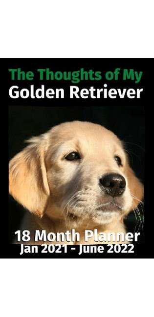 Thoughts of My Golden Retriever