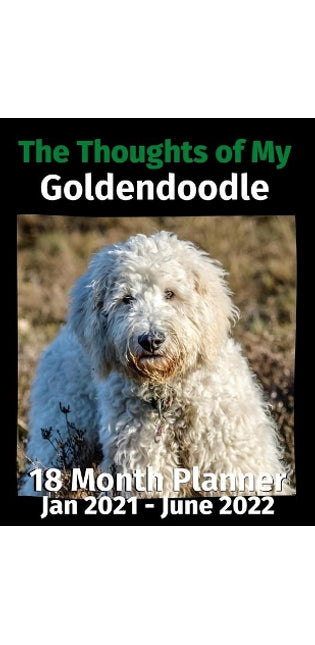 Thoughts of My Goldendoodle