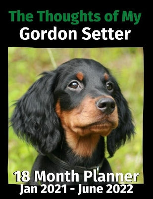 Thoughts of My Gordon Setter