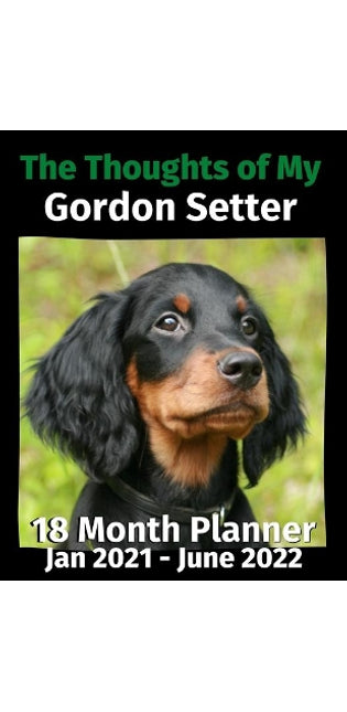 Thoughts of My Gordon Setter