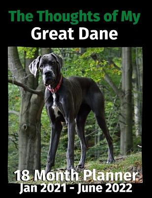 Thoughts of My Great Dane