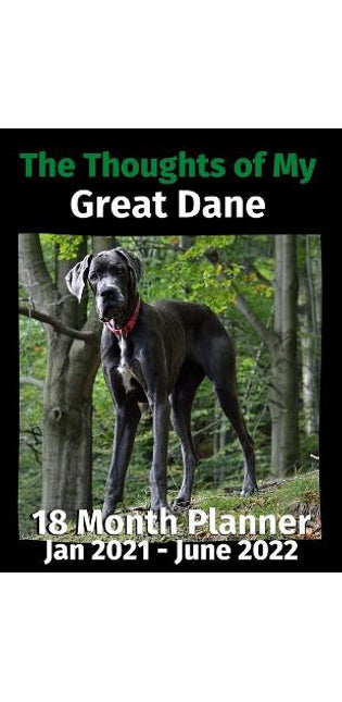 Thoughts of My Great Dane