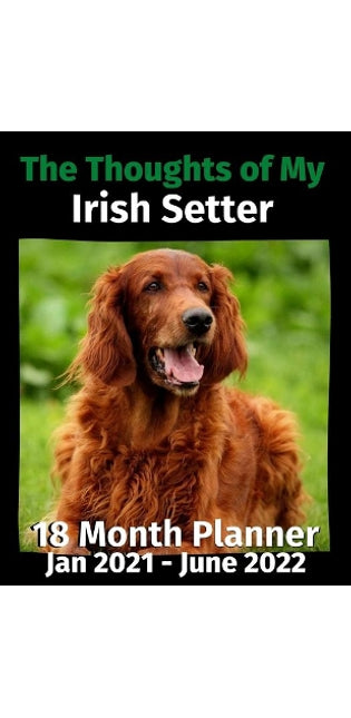 Thoughts of My Irish Setter