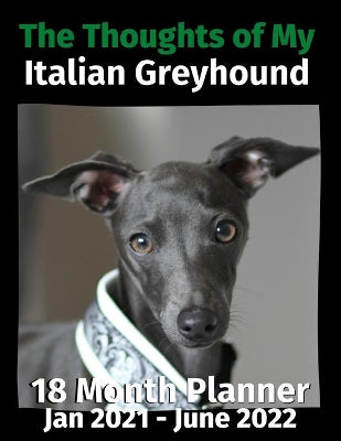 Thoughts of My Italian Greyhound