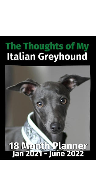 Thoughts of My Italian Greyhound