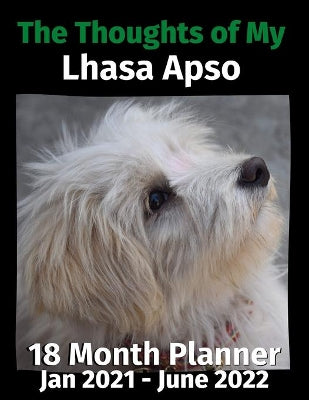 Thoughts of My Lhasa Apso