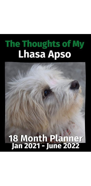 Thoughts of My Lhasa Apso